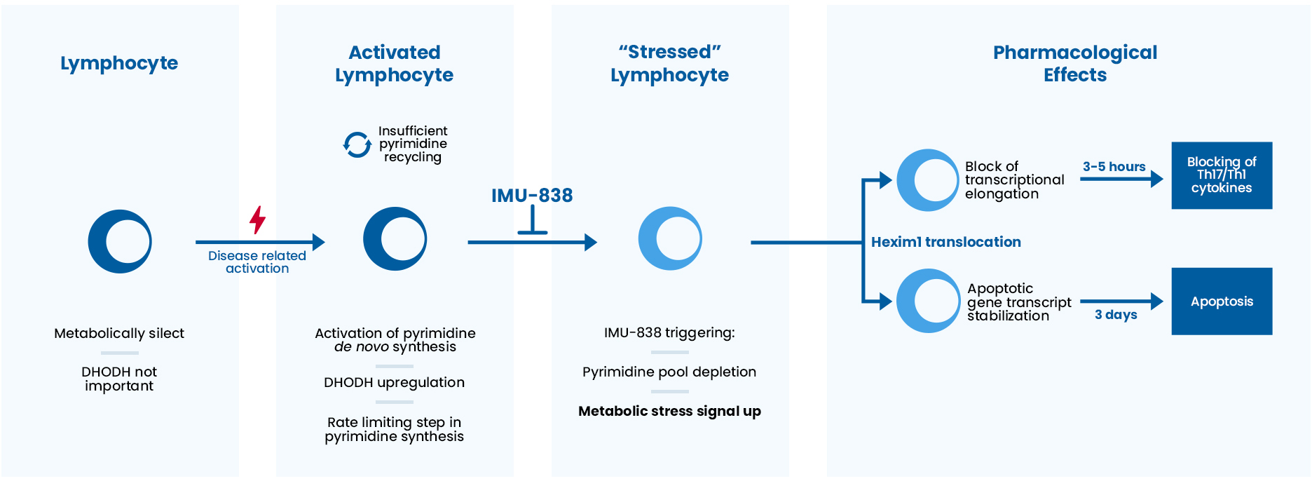 Illustration of IMU-838 Processes